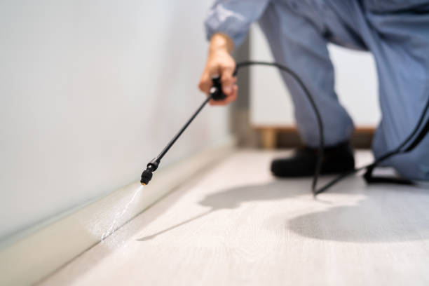 Licensed Mosquito Control service in Puyallup, WA - Show Me Pest Control
