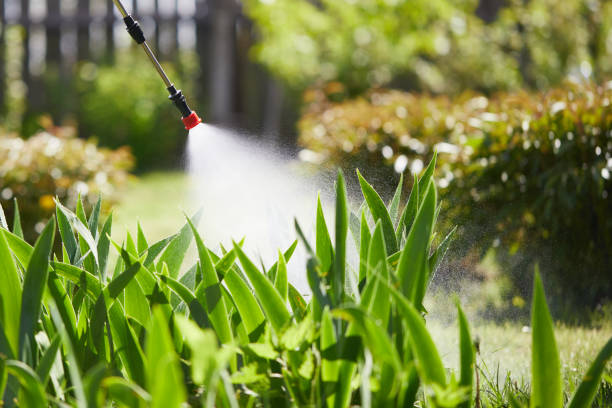 24/7 Emergency Mosquito Control experts in Puyallup, WA