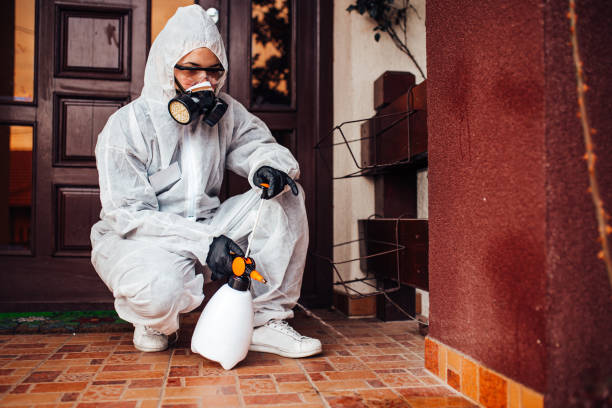 Reliable Mosquito Control contractor in Puyallup, WA by Show Me Pest Control