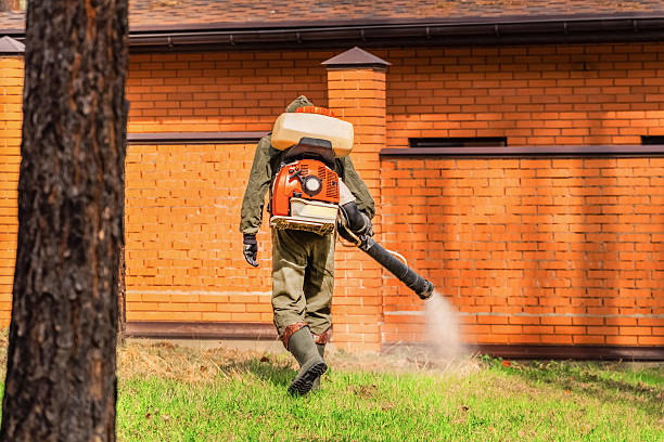 Top rated local Mosquito Control specialists in Puyallup, WA